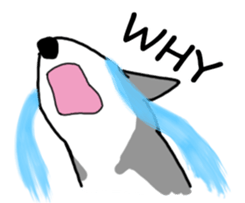 HahahaHusky sticker #13442644