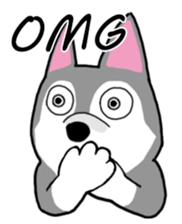 HahahaHusky sticker #13442645