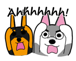 HahahaHusky sticker #13442648