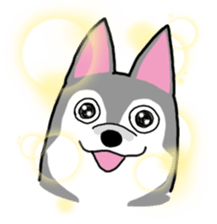 HahahaHusky sticker #13442650