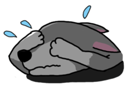 HahahaHusky sticker #13442657