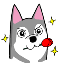 HahahaHusky sticker #13442658