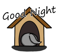 HahahaHusky sticker #13442661