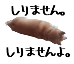 FICKLE SHIBA sticker #13442725