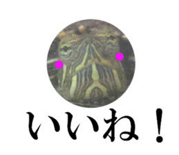 I love turtle. sticker #13443476