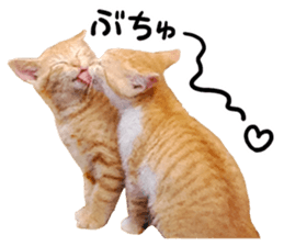 Cat familys Vol.1 sticker #13443831