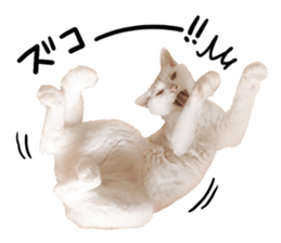 Cat familys Vol.1 sticker #13443835