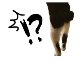 Cat familys Vol.1 sticker #13443836