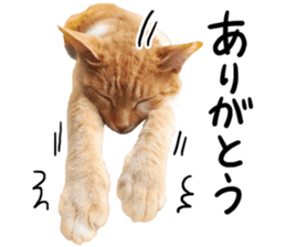 Cat familys Vol.1 sticker #13443839