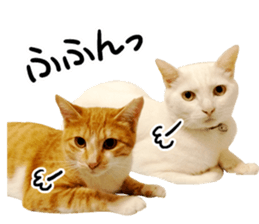 Cat familys Vol.1 sticker #13443845