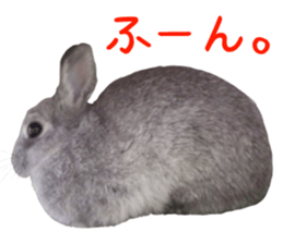 RINRIN so cute sticker #13445908