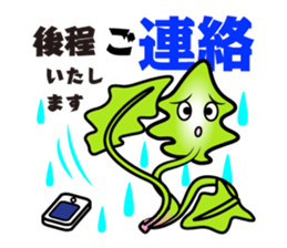 Spinach report & contact & consultation sticker #13446884