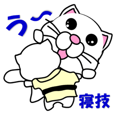 A white cat which do judo