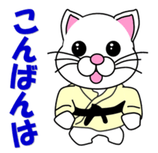 A white cat which do judo sticker #13447687