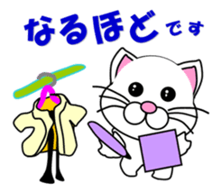 A white cat which do judo sticker #13447688