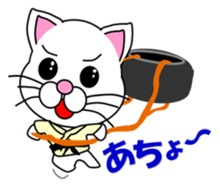 A white cat which do judo sticker #13447698
