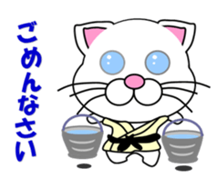 A white cat which do judo sticker #13447705