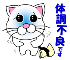 A white cat which do judo sticker #13447709