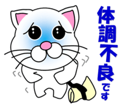 A white cat which do judo sticker #13447709