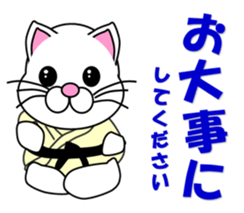 A white cat which do judo sticker #13447710