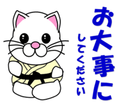 A white cat which do judo sticker #13447710