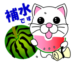 A white cat which do judo sticker #13447719