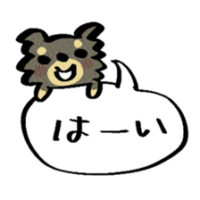 Chihuahua of kuro-chan sticker #13448119