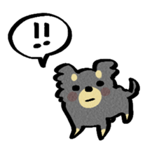 Chihuahua of kuro-chan sticker #13448123