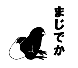 Chick shadow sticker #13448460