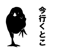 Chick shadow sticker #13448482