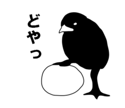 Chick shadow sticker #13448488