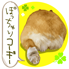 Welsh corgi is Sandy 2.