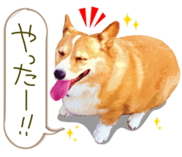 Welsh corgi is Sandy 2. sticker #13450400