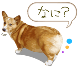 Welsh corgi is Sandy 2. sticker #13450404