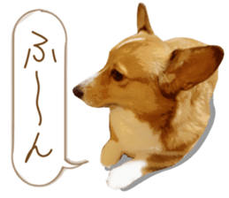Welsh corgi is Sandy 2. sticker #13450409