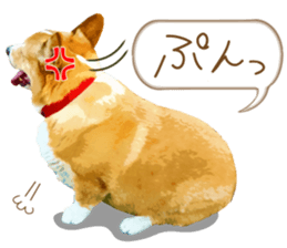 Welsh corgi is Sandy 2. sticker #13450410