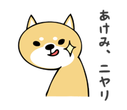 Stickers for Akemi sticker #13451306