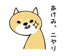 Stickers for Akemi sticker #13451306