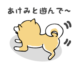 Stickers for Akemi sticker #13451323