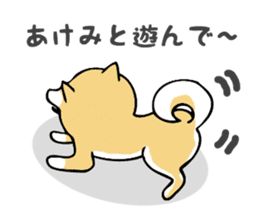 Stickers for Akemi sticker #13451323