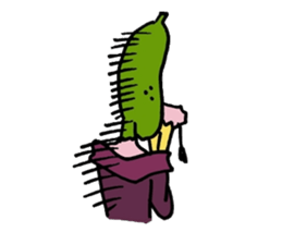 Madam Cucumber sticker #13451678