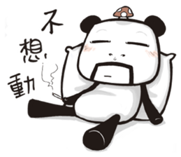 AG & pi-pi Bear sticker #13452573