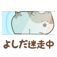 "Yoshida" hamster Sticker sticker #13453690