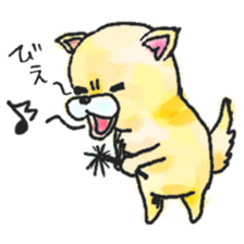 Funny Funny Bear sticker #13453840