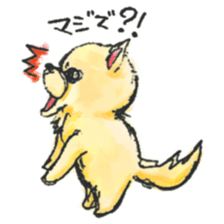 Funny Funny Bear sticker #13453866