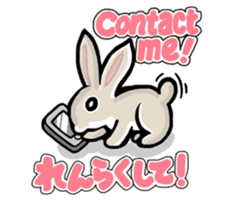 Cute characters in Japanese and English sticker #13456286