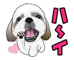 Move! Cute Shih Tzu sticker #13456398