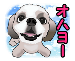 Move! Cute Shih Tzu sticker #13456399