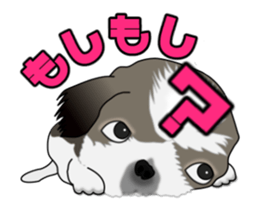 Move! Cute Shih Tzu sticker #13456400