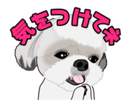 Move! Cute Shih Tzu sticker #13456404